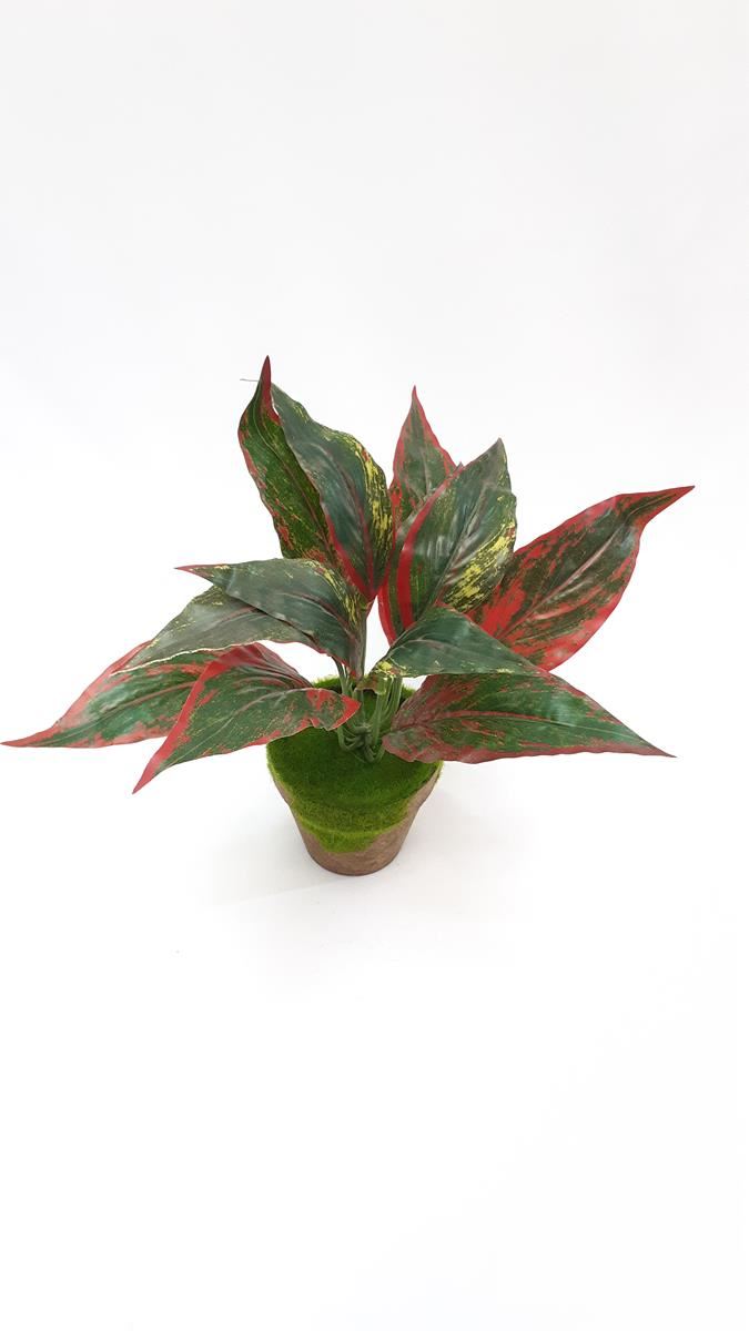 PLANTA CON MACETA 30CM